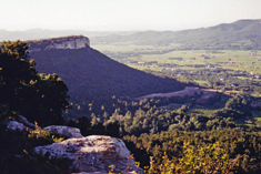 Natural cliff defences