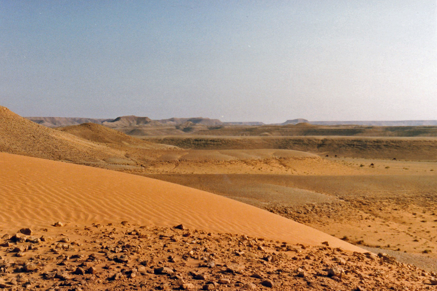 Riyadh desert sands